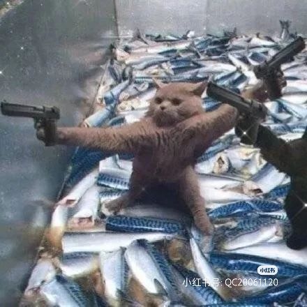 看看这个吧求个赞截图