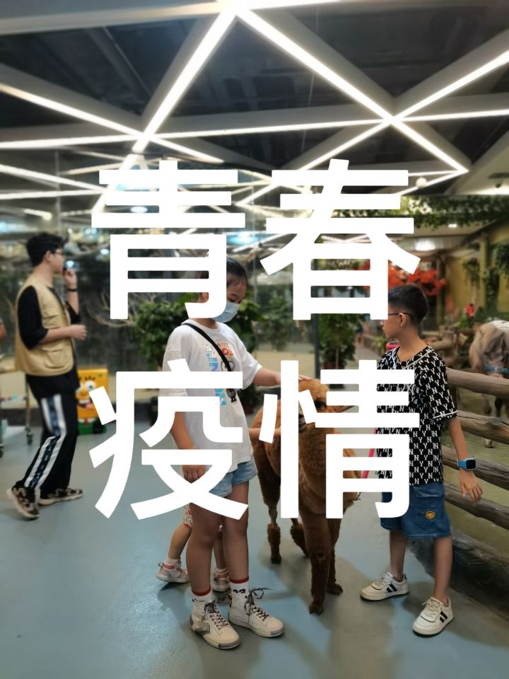 不戴口罩的小肠肠截图