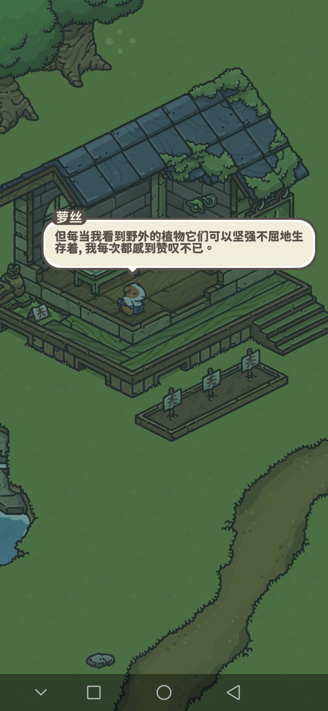 动态图片 6