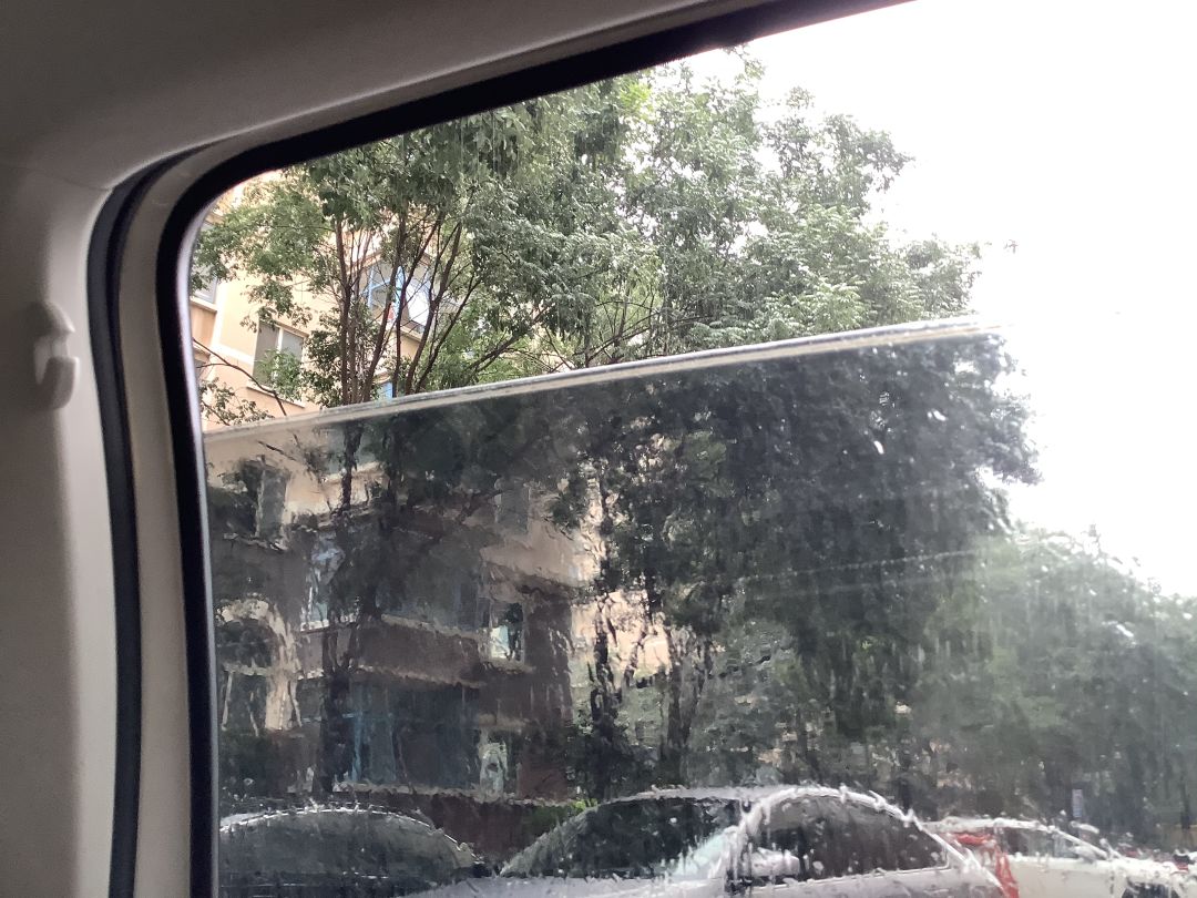 动态图片 8