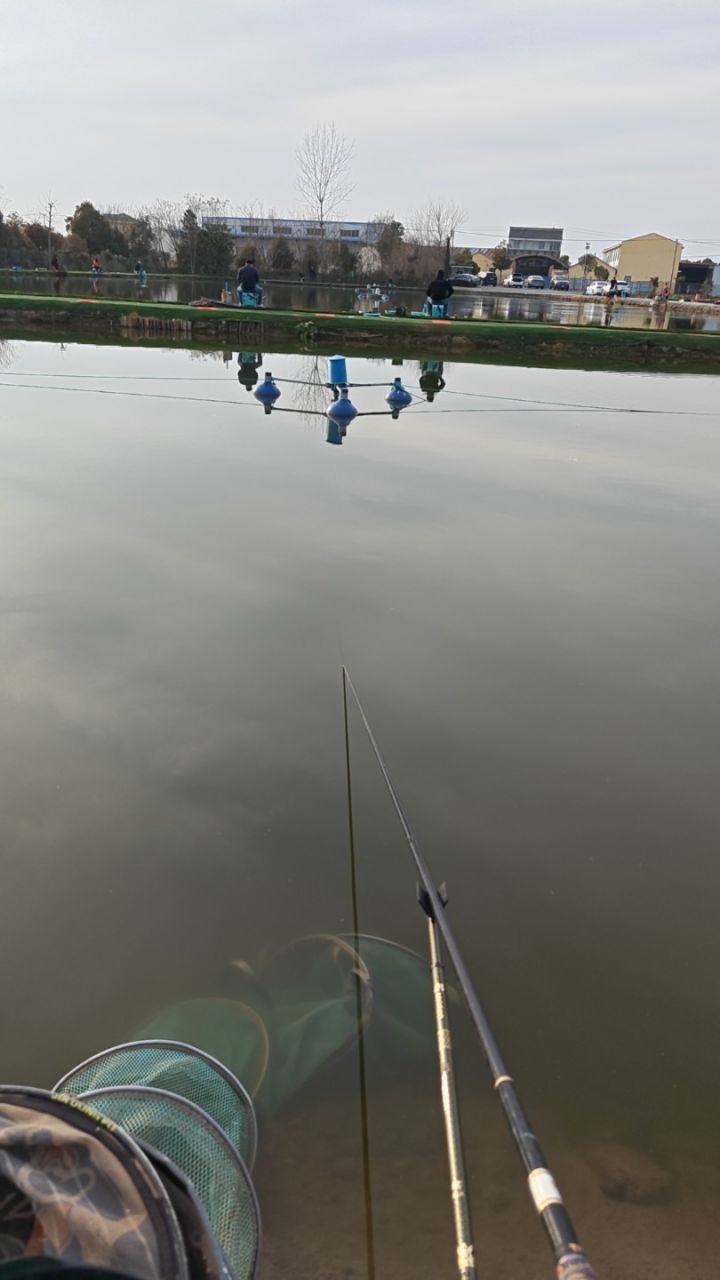 有没有大佬带带孩子。刚玩的tap一区。id：SW0073截图