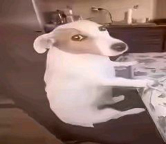 video-5834669