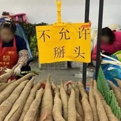 练一练就会了截图