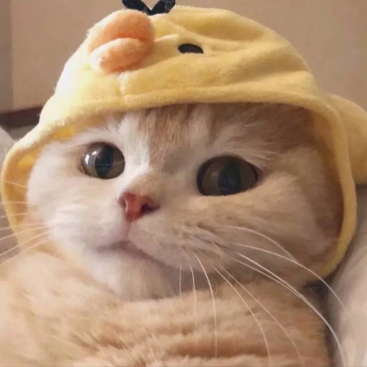 这，怎么是个女的截图
