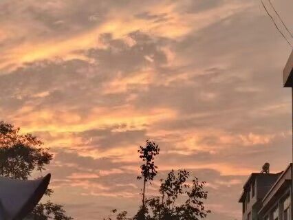 video-3427229