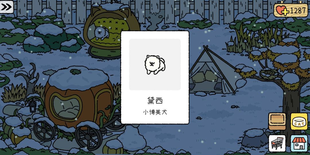动态图片 6