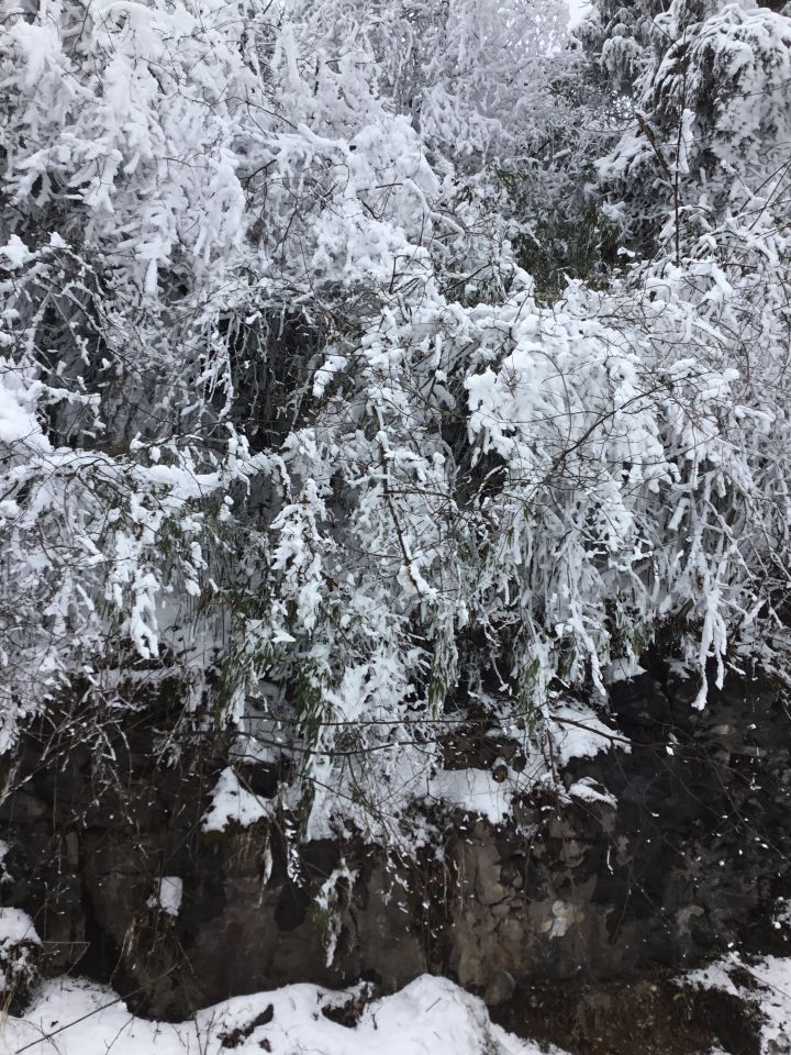 下雪啦下雪啦真开心！截图