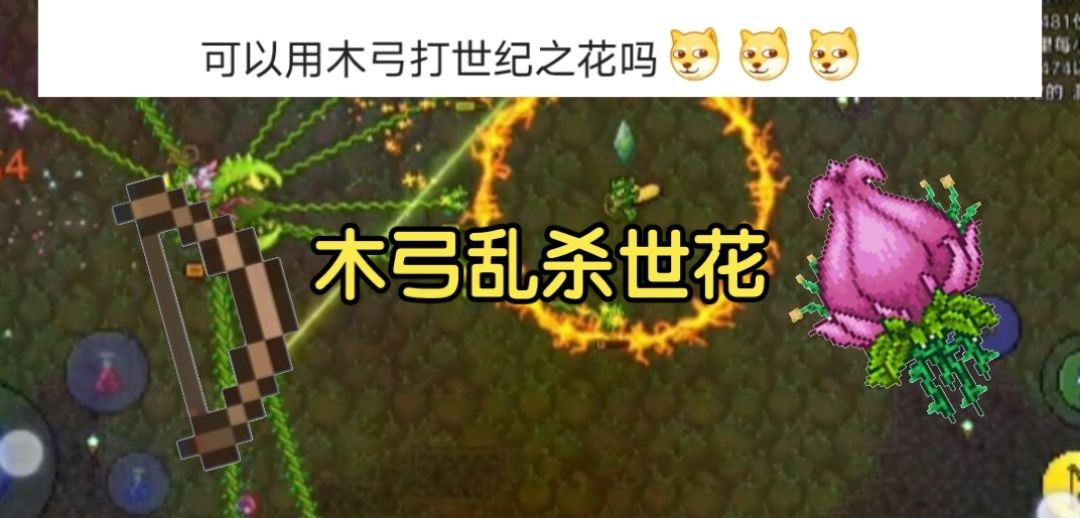 木弓击败世纪之花截图