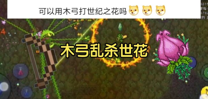 木弓击败世纪之花截图