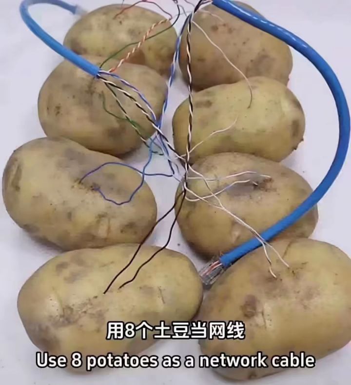 土豆服务器截图