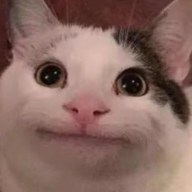 1.4.4版本新增武器和弹药实际效果（白蜡武器没弄）截图