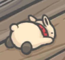 萌新小知识2来啦～