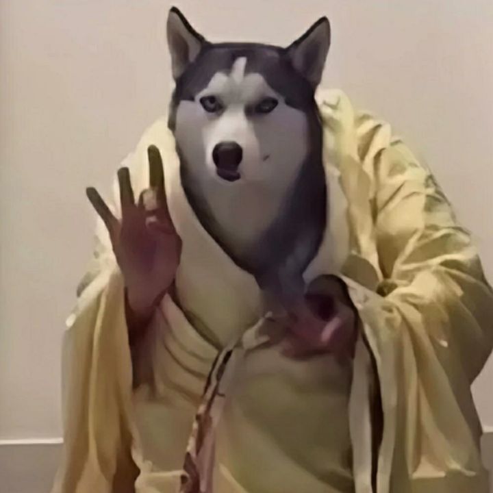 有没有听说过一套从天而降的掌法截图