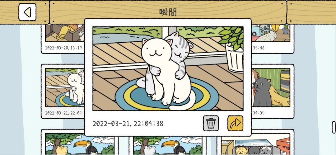 动态图片 4