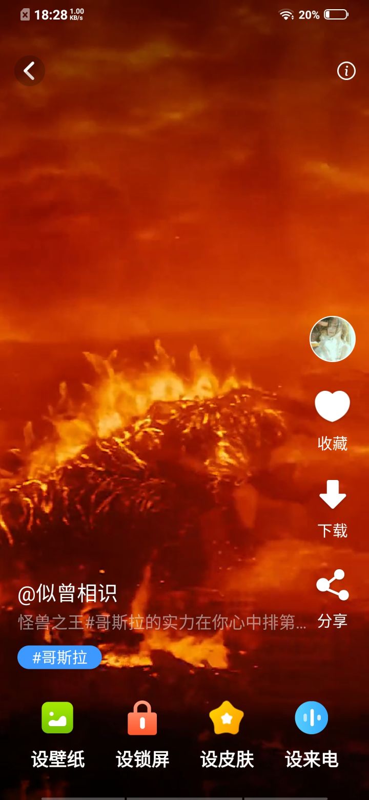 那个这是哥斯拉八哥截图