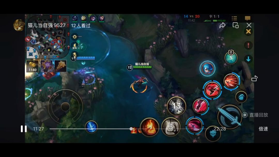 video-3340307
