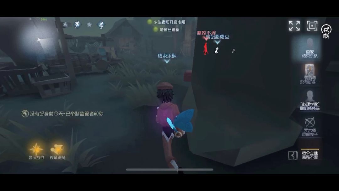video-3272707