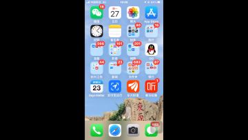 4.3.2（补充）痛苦术士刷双虫群过195