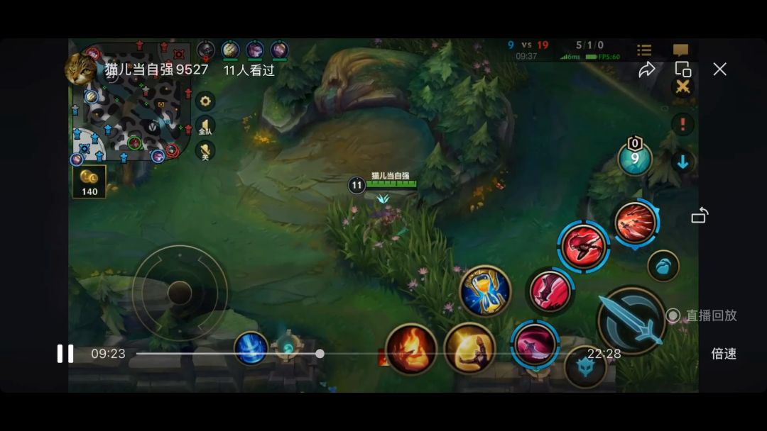 video-3340303
