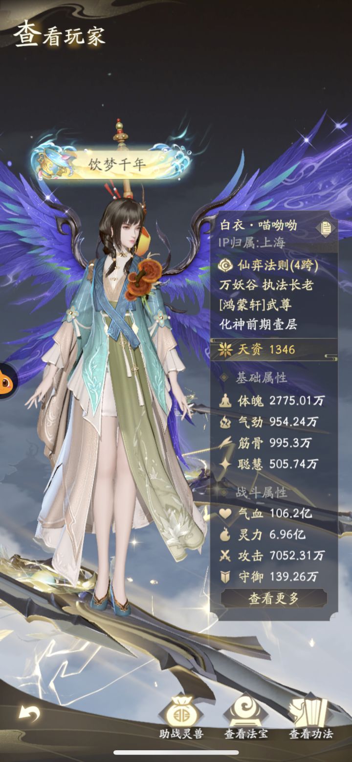 来看看国服的化神强者截图