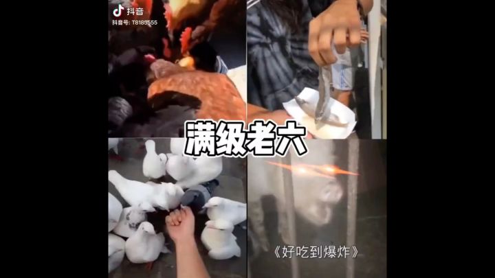 超满级老六截图