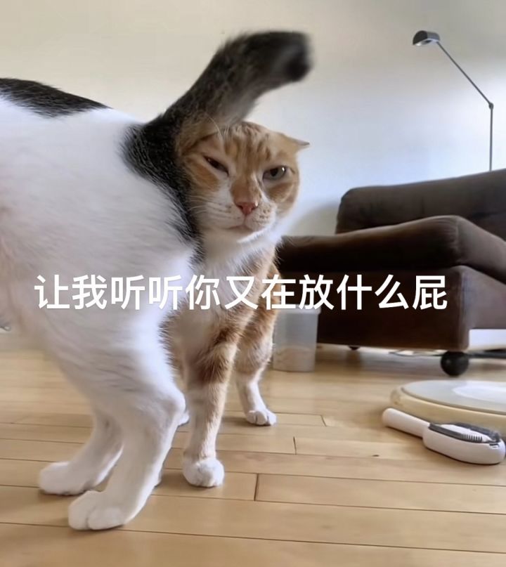 当年公测玩过 公测当天炸服了送了三四百抽还是很牛逼的截图