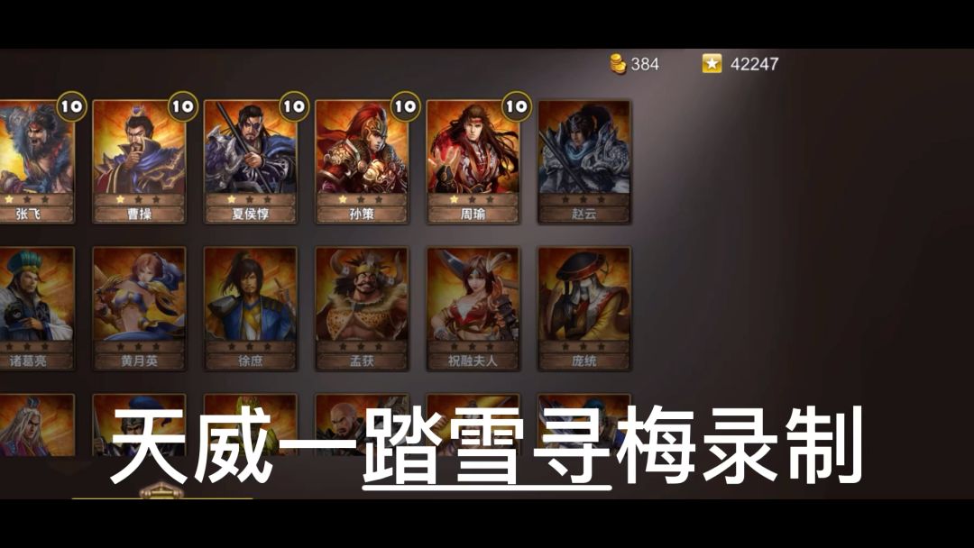 video-3313019
