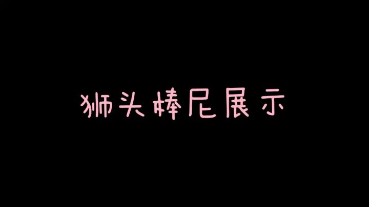 狮头棒尼值得出手吗?资深主播前方位评测来啦!截图
