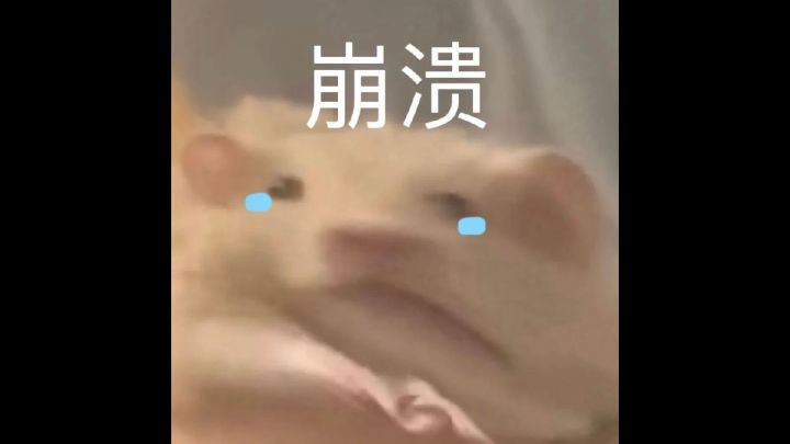 xf你对得起东海玩家嘛!!!截图