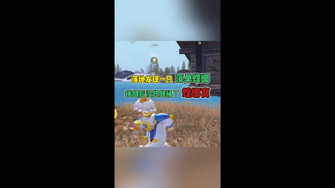 video-3291073