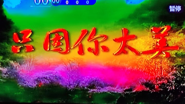 我与战双那点事截图