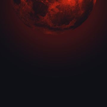 另类接龙（绝对不是因为我懒！）