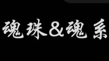 【新手进阶向】魂珠&魂系（含部分重要魂珠效果和魂系效果图鉴）