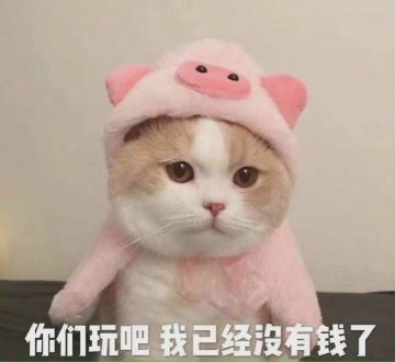 天信的一些攻略。