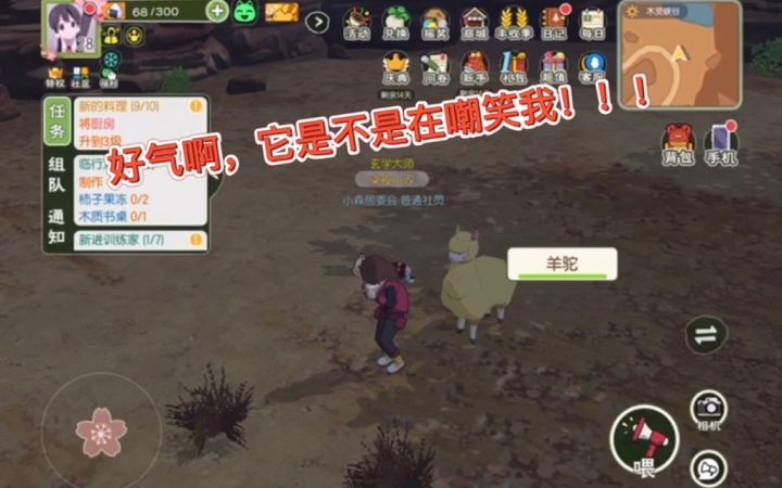 #小森村共建#羊驼羊驼哪里跑截图