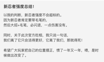 新忍者强度总结！