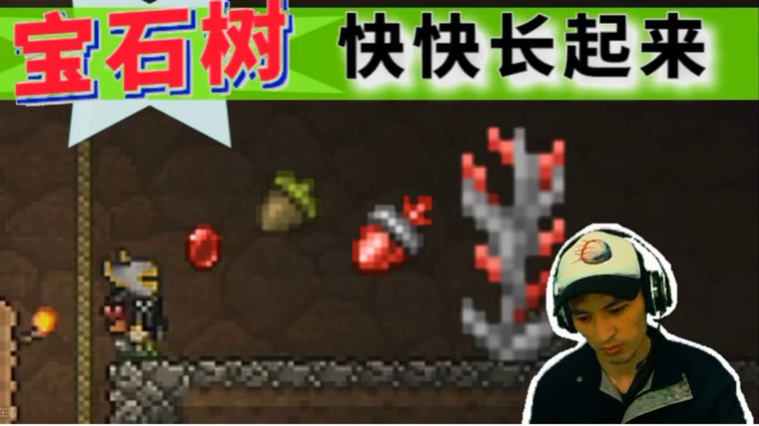 泰拉瑞亚宝石树的种植方法截图