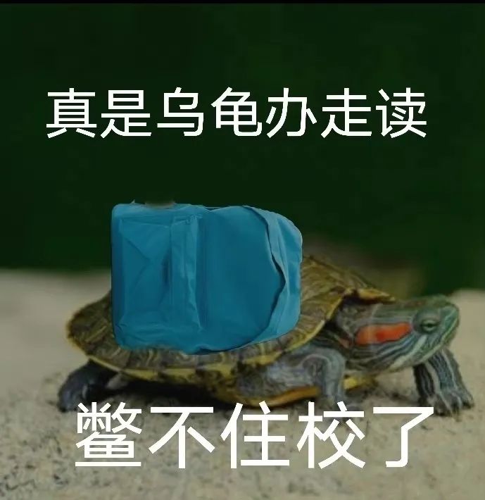 汐卫兵大佬们截图