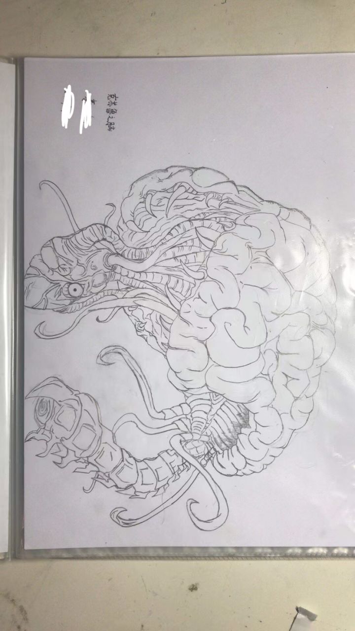 浅试了两个泰拉瑞亚的小怪截图