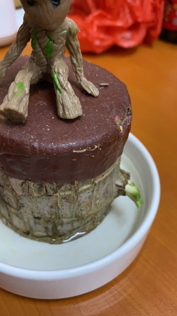 又是我这个小宝贝!
发芽了!爱情要来了!🌱截图