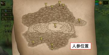 罗马尼亚人参地点