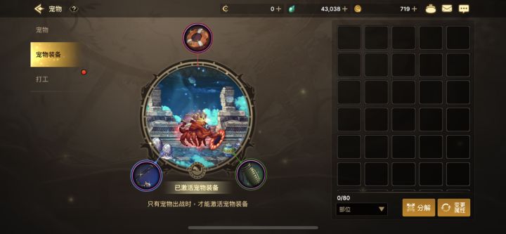 宠物装扮也搬出来了,还差武器装扮,称号截图