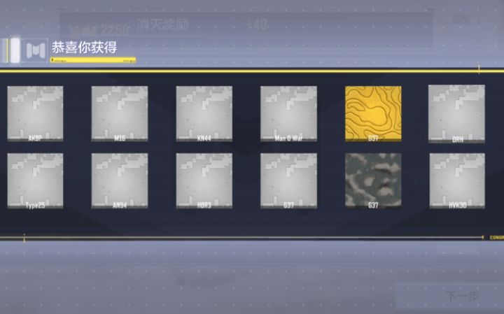 终于拿到白金皮肤了！截图