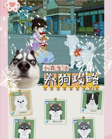 小森生活—养狗攻略（萌新必备）