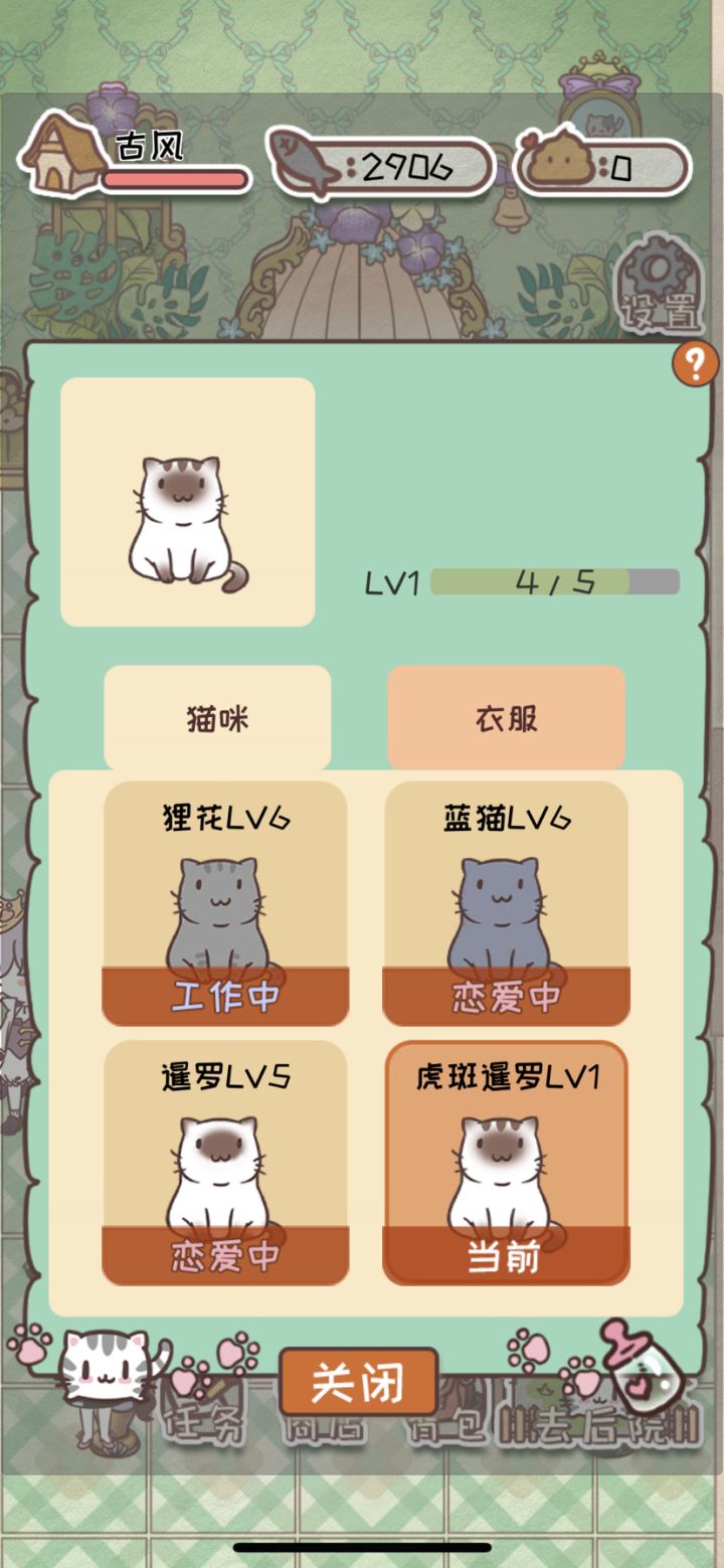 培养了一只小喵咪截图