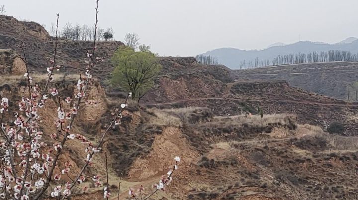 清明安康截图