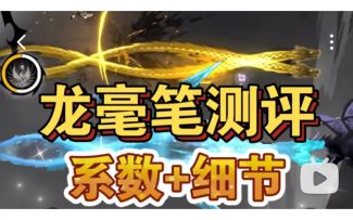 龙毫笔测评，系数+细节