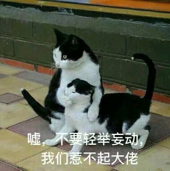 光暗盾回归职业攻略-关于明天更新剑盾技能后截图