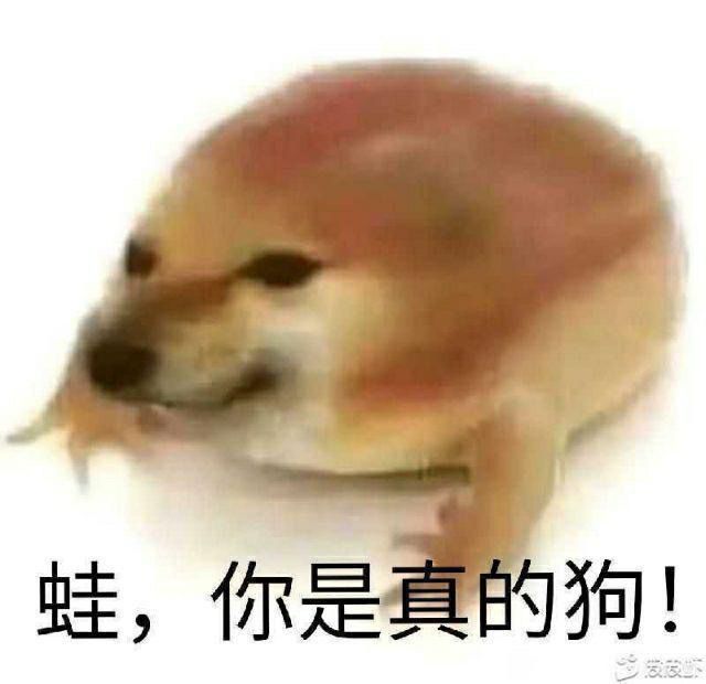 什么时候出啊截图