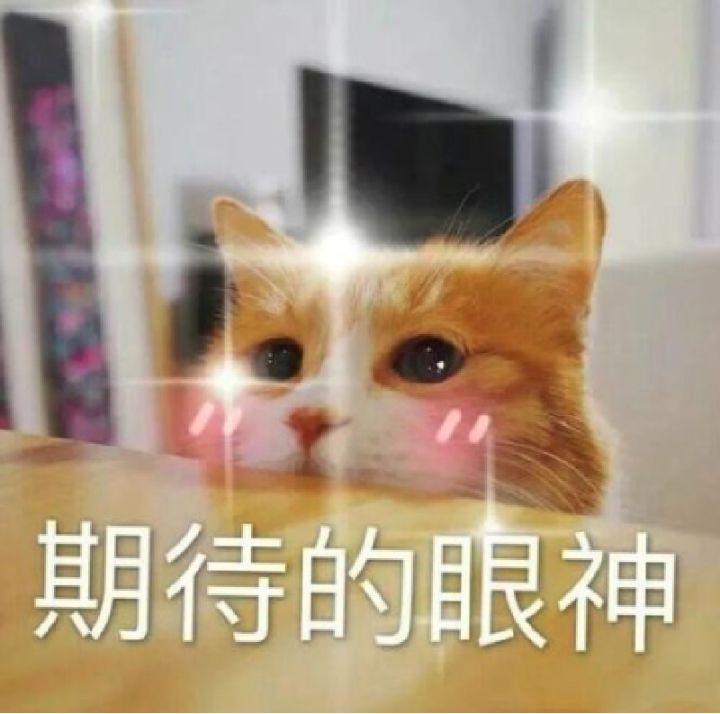 那个同名小说你们看了吗截图